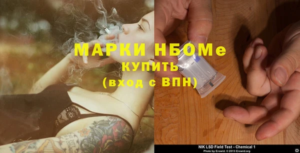 стафф Новозыбков