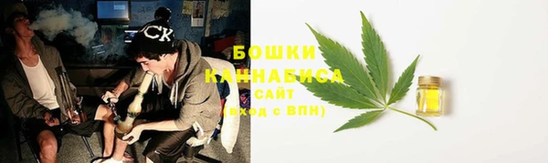 ALPHA PVP Билибино