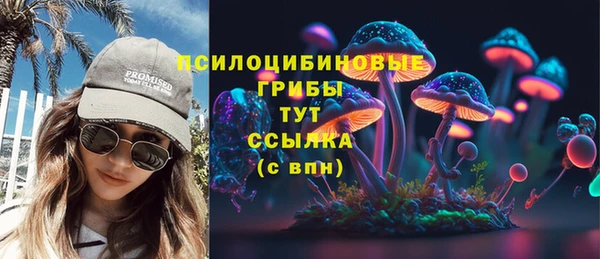 гашик Нефтегорск