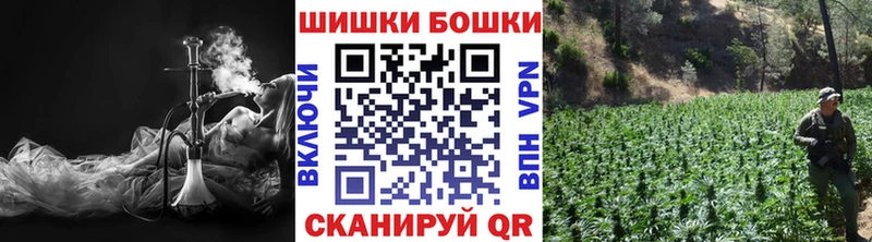 Каннабис ГИДРОПОН Отрадная